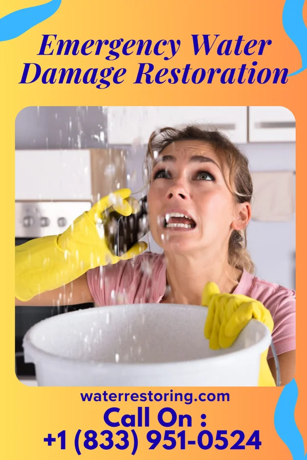Emergency Water Damage Restoration in Westside, CA